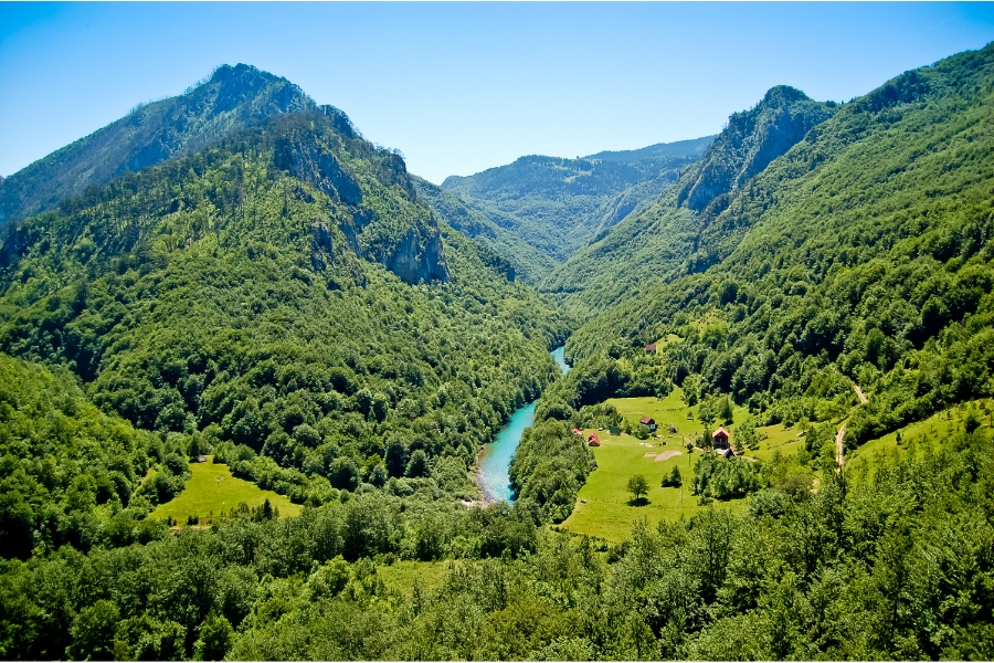 Best Ways to Explore Tara Canyon in Montenegro